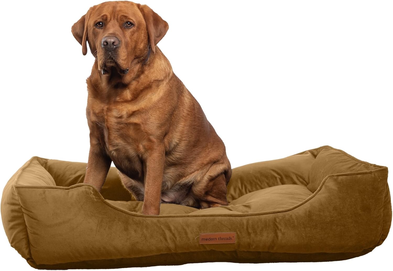 Modern Threads Luxury Dog Bed - Cozy Tufted Velvet Cushion