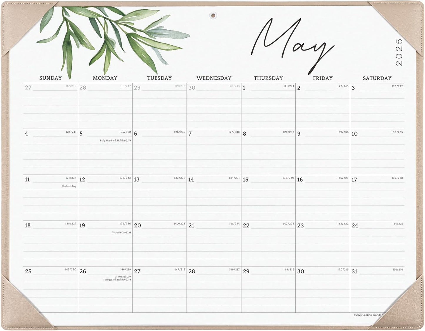 Cabbrix Large Desk Calendar 2025-2026 - Stay Organized!
