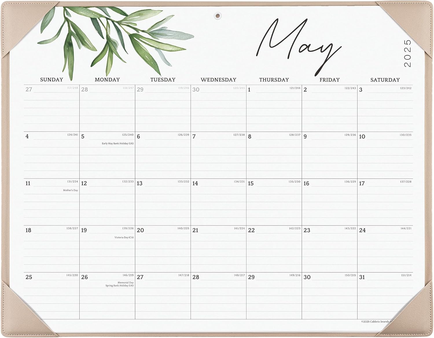 Cabbrix Large Desk Calendar 2025-2026 - Stay Organized!