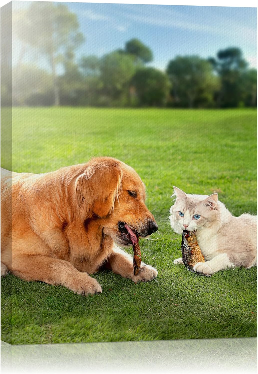 Custom Canvas Prints for Unique Wall Art in Your Home