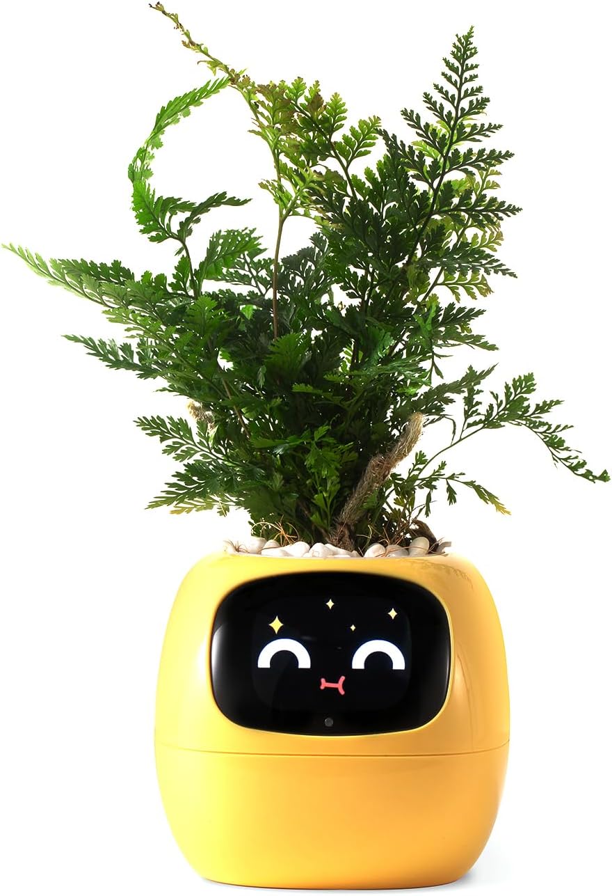 Smart Plant Robot Companion for Effortless Plant Care and Joy