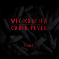 Cabin Fever Trilogy by Rostrum Records - A Must-Have Collection
