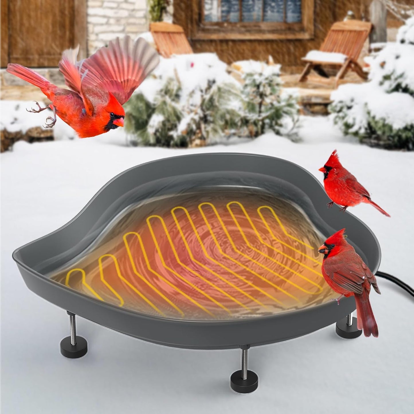Heated Bird Baths for Outdoors - 60W Thermostatic Control
