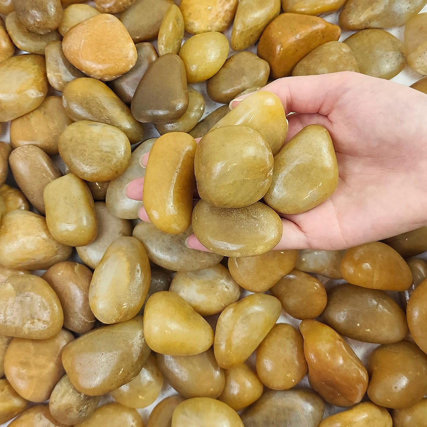 20 lbs Yellow River Rocks for Landscaping and Indoor Plants