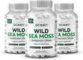 Organics Ocean Wild Sea Moss Capsules - Organic Irish Sea Moss