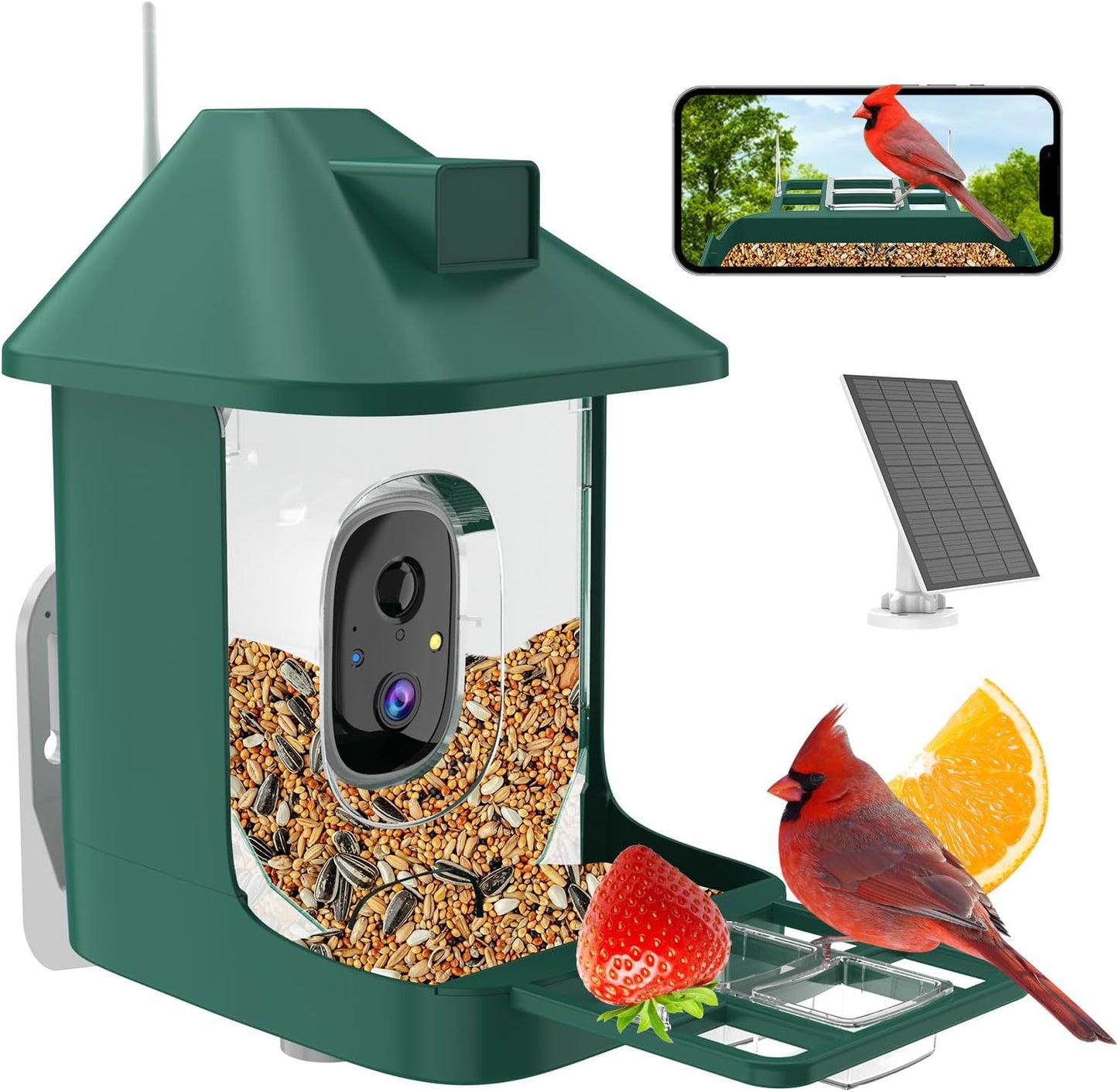 AI Bird Feeder Cam: FHD Live, Solar-Powered, Night Vision