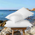 Canadian Luxury Goose Down Pillow Queen Size by AiAngu