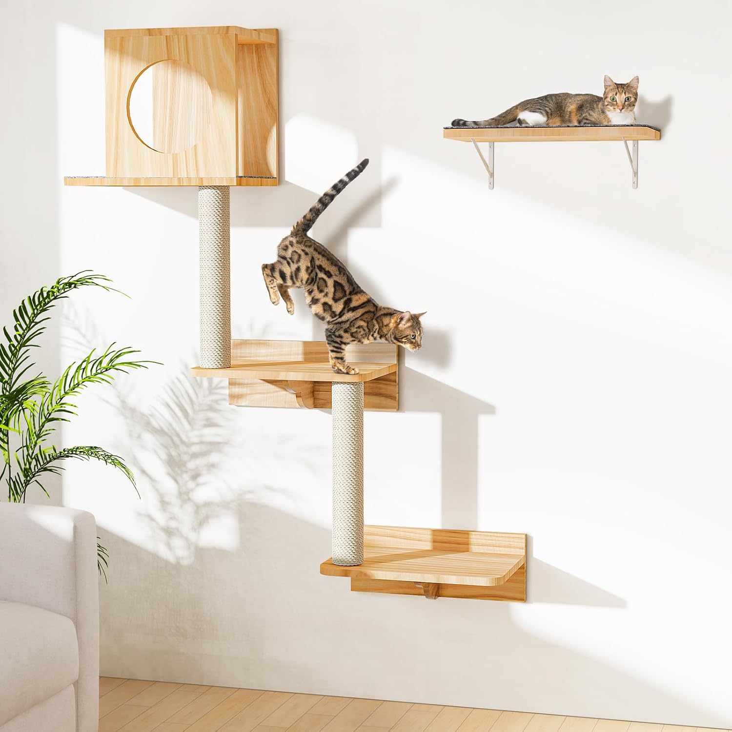 Wall Mounted Cat Tree for Climbing, Scratching and Lounging