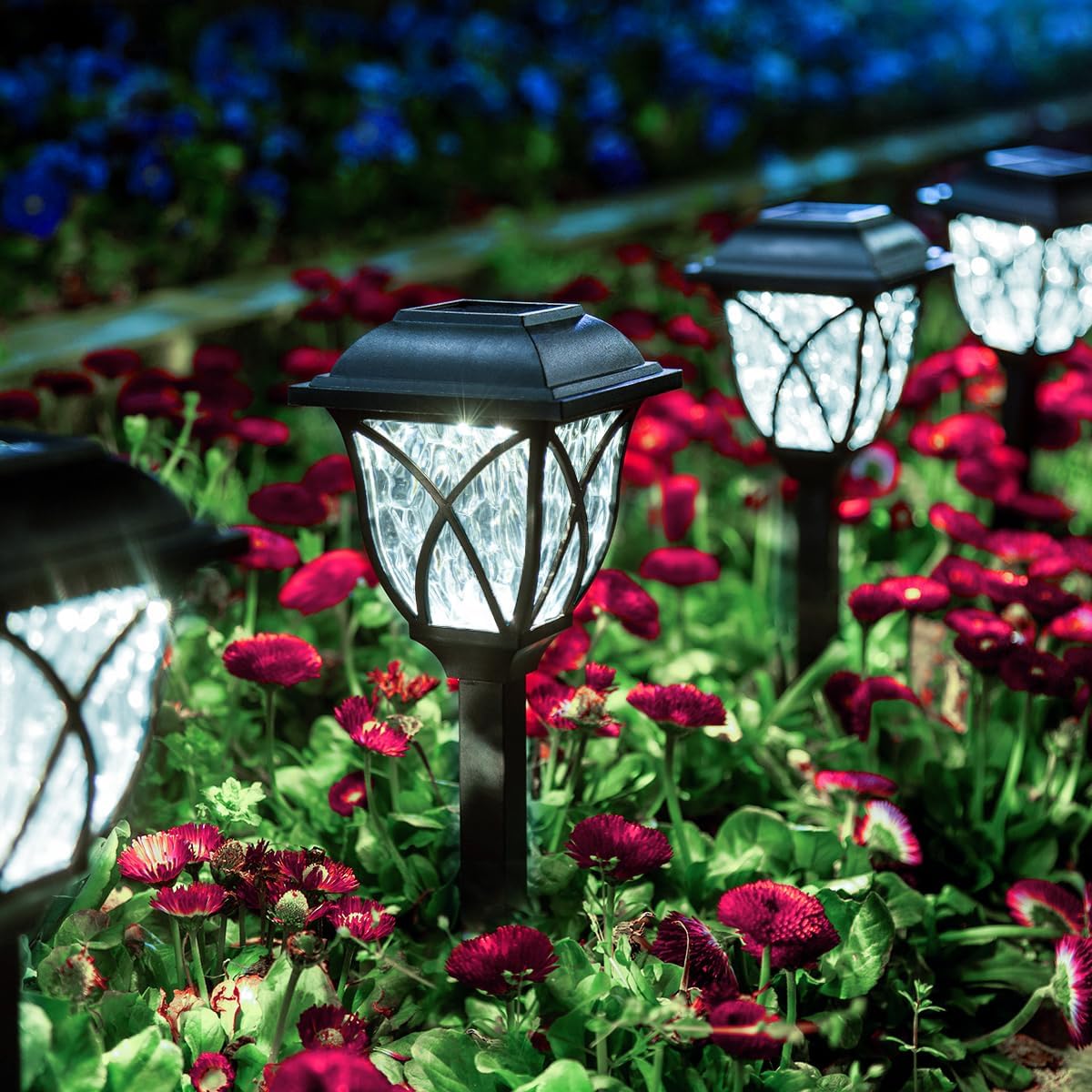 GIGALUMI Solar Lights Outdoor Waterproof for Garden and Pathway