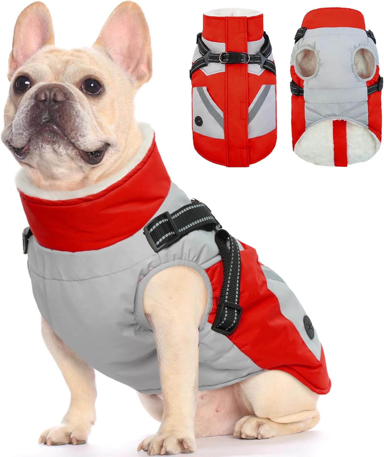 FUAMEY Dog Winter Jackets for Small Dogs - Warm Waterproof Coat