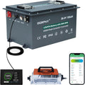 36V Lithium Golf Cart Battery 105AH - Long Life, App Monitor