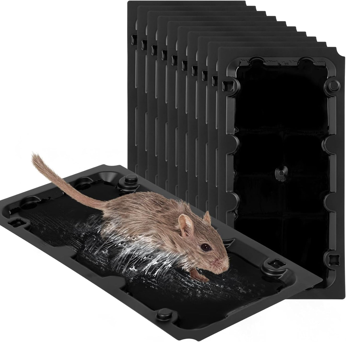 10 Pack Peanut Pheromone Mouse Traps, Glue Sticky for Mice, Rats - Wanqueen