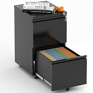 2 Drawer Mobile File Cabinet for Home Office with Lock and Wheels