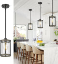Farmhouse Pendant Light Fixtures 1-Light Black Glass Pendant - Rustic