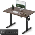 Electric Standing Desk Adjustable Height 40 x 24 in - Silent Sit-Stand