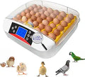 Incubators for Hatching Eggs 42-Egg Incubator - Automatic Turning