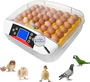 42 Egg Incubator with Automatic Turning and Humidity Control