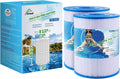 TOREAD Watkins 31114 Replacement Tiger River Spa Filter - NSF