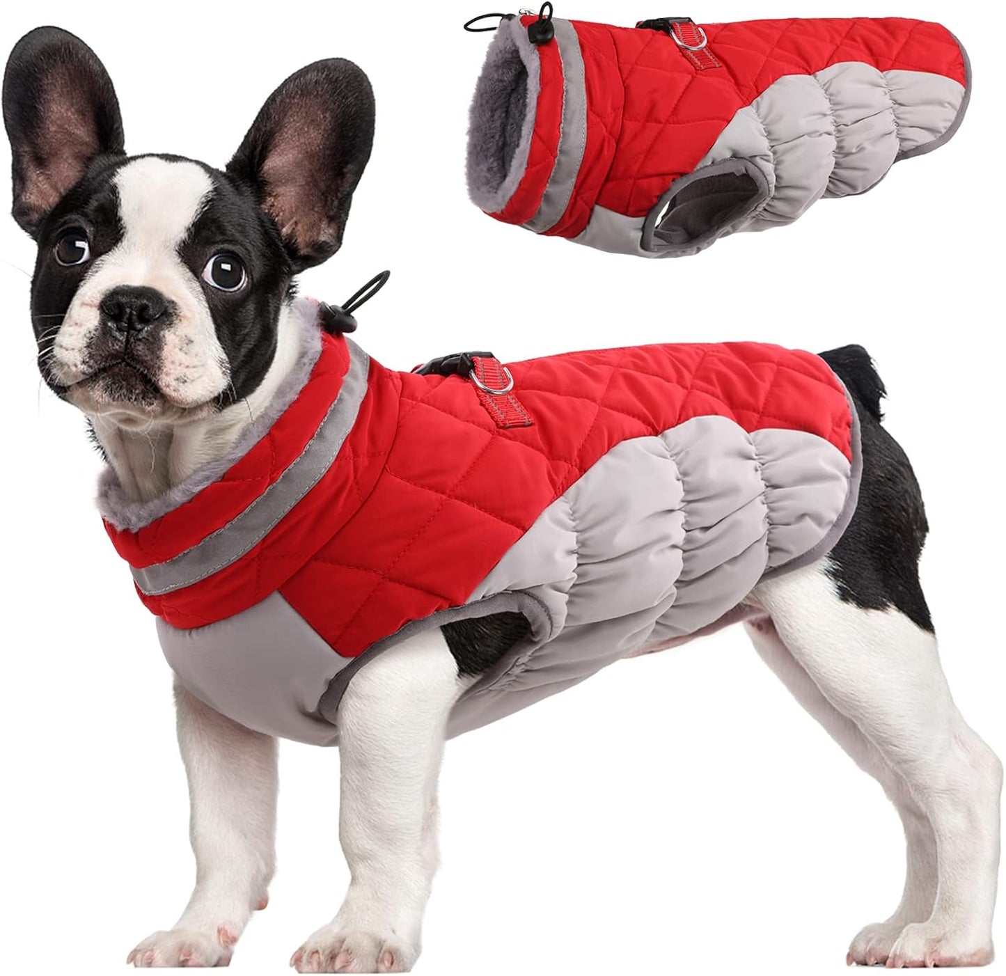 FUAMEY Dog Coat for Medium Dogs - Waterproof Winter Jacket