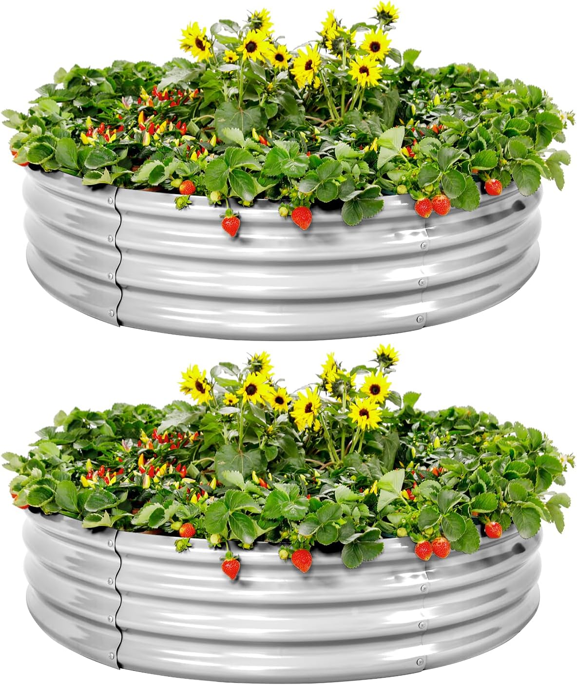 Galvanized Raised Garden Bed 2Pcs for Outdoor Gardening Needs