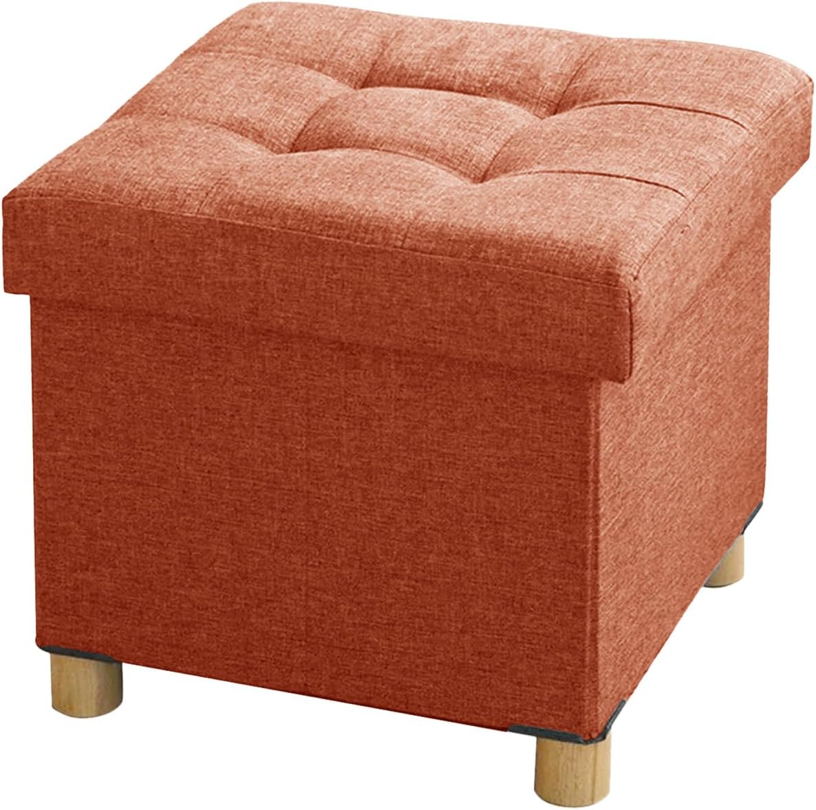 BRIAN & DANY Small Ottoman with Storage for Home Use
