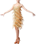 Women Salsa Latin Dance Sequin Tassel Flapper Dress (Style SYQ3)