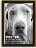 Suede A3 Frame Single Frame - Elegant Black A3 Poster Frame