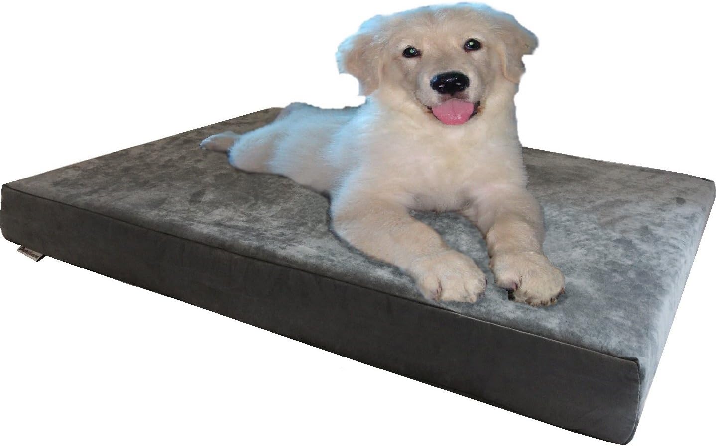 Dogbed4less Orthopedic Gel Cooling Memory Foam Dog Bed Review