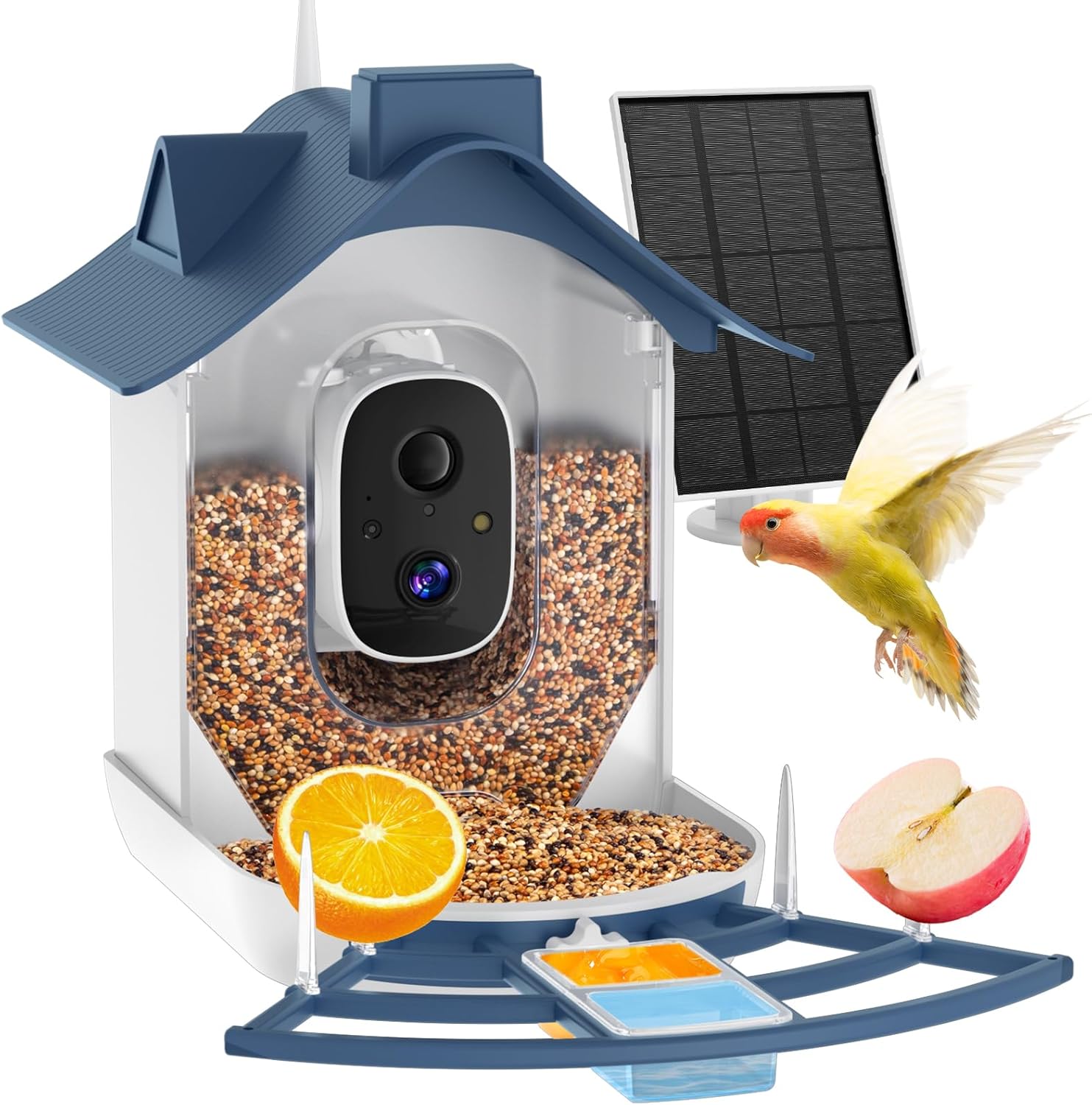 4K Bird Species Identify Feeder