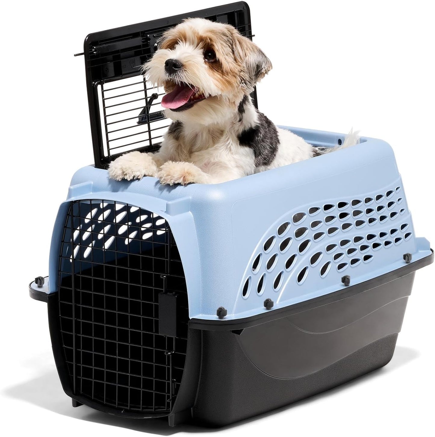 Petmate Two-Door Plastic Dog Crate for Small Pets, 24in Blue
