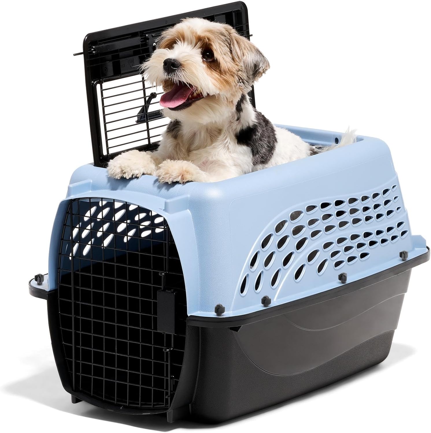 Petmate Two-Door Plastic Dog Crate for Small Pets, 24in Blue