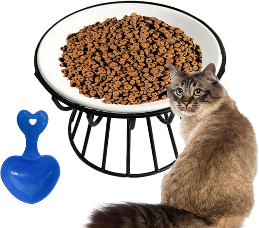 Elevated Ceramic Cat Bowls for Happy Pets