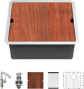 Sarlai 21 in Undermount Kitchen Sink with Pull-out Faucet - Compact