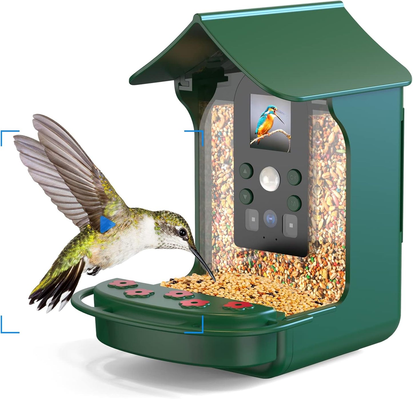 Bozily Smart Hummingbird Camera: HD Night Vision & Motion Detection