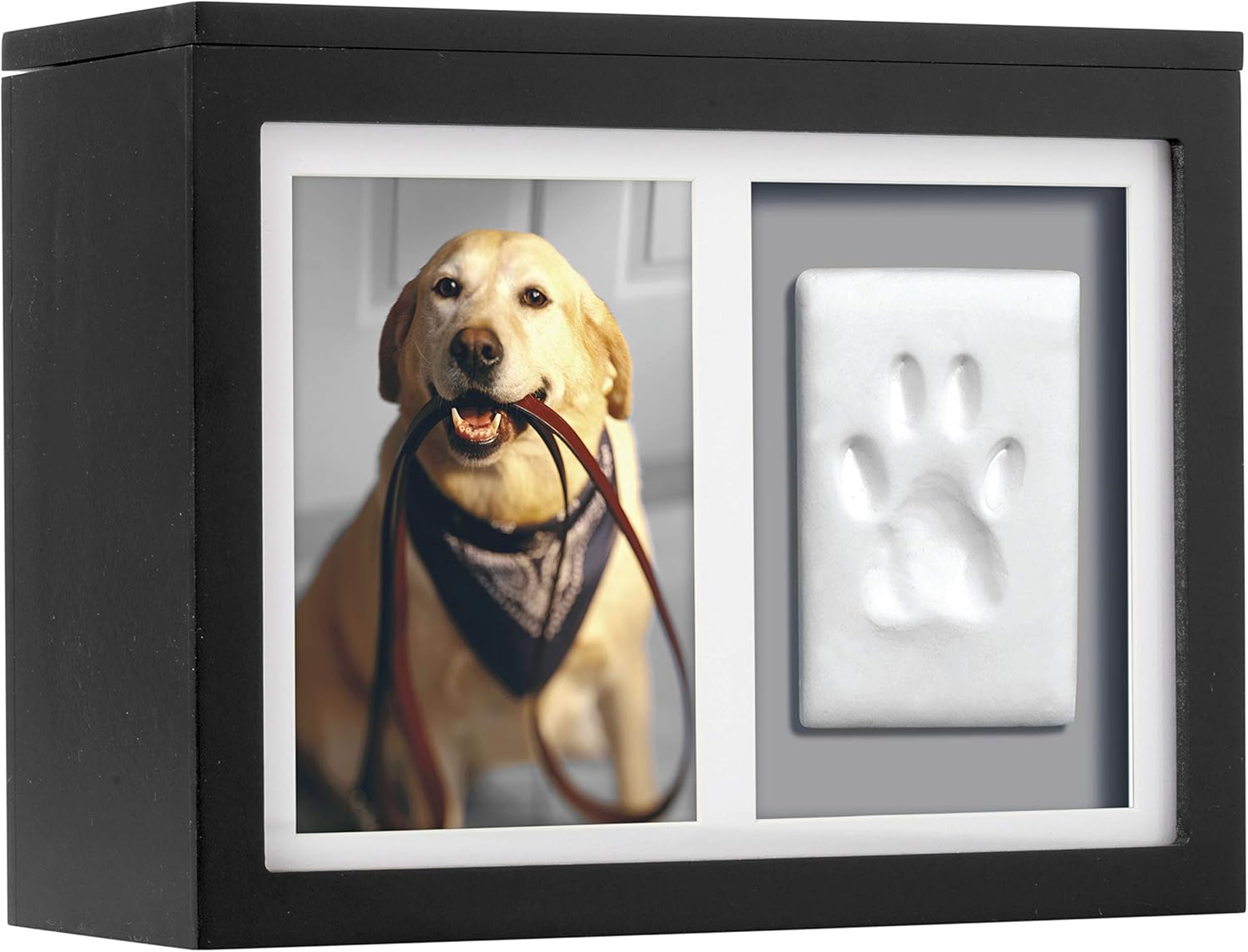 Pearhead Pet Memory Box & Urn for Cherished Companions