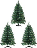 3ft Pre-lit Christmas Pine Tree 3 Pack - Warm LED, Foldable Base