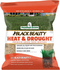 Jonathan Green Black Beauty Grass Seed for Tough Conditions