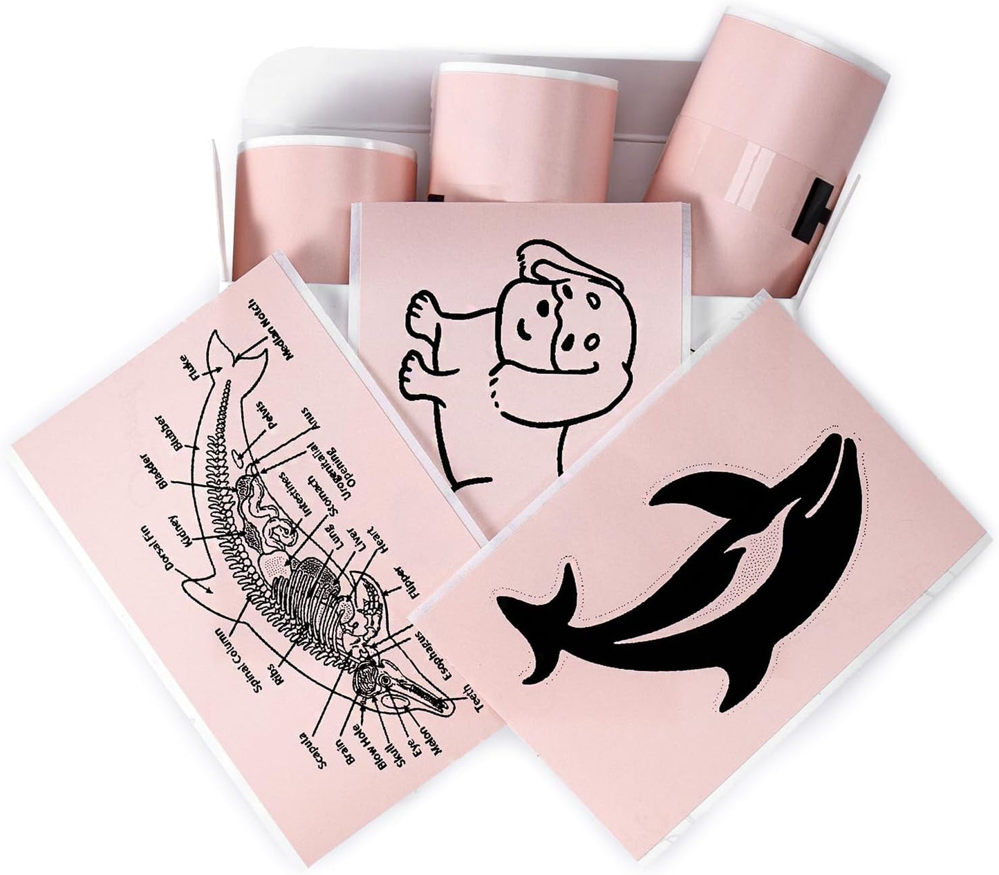 Long-lasting Pink Sticker Paper Refill for Memoking Mini Printer