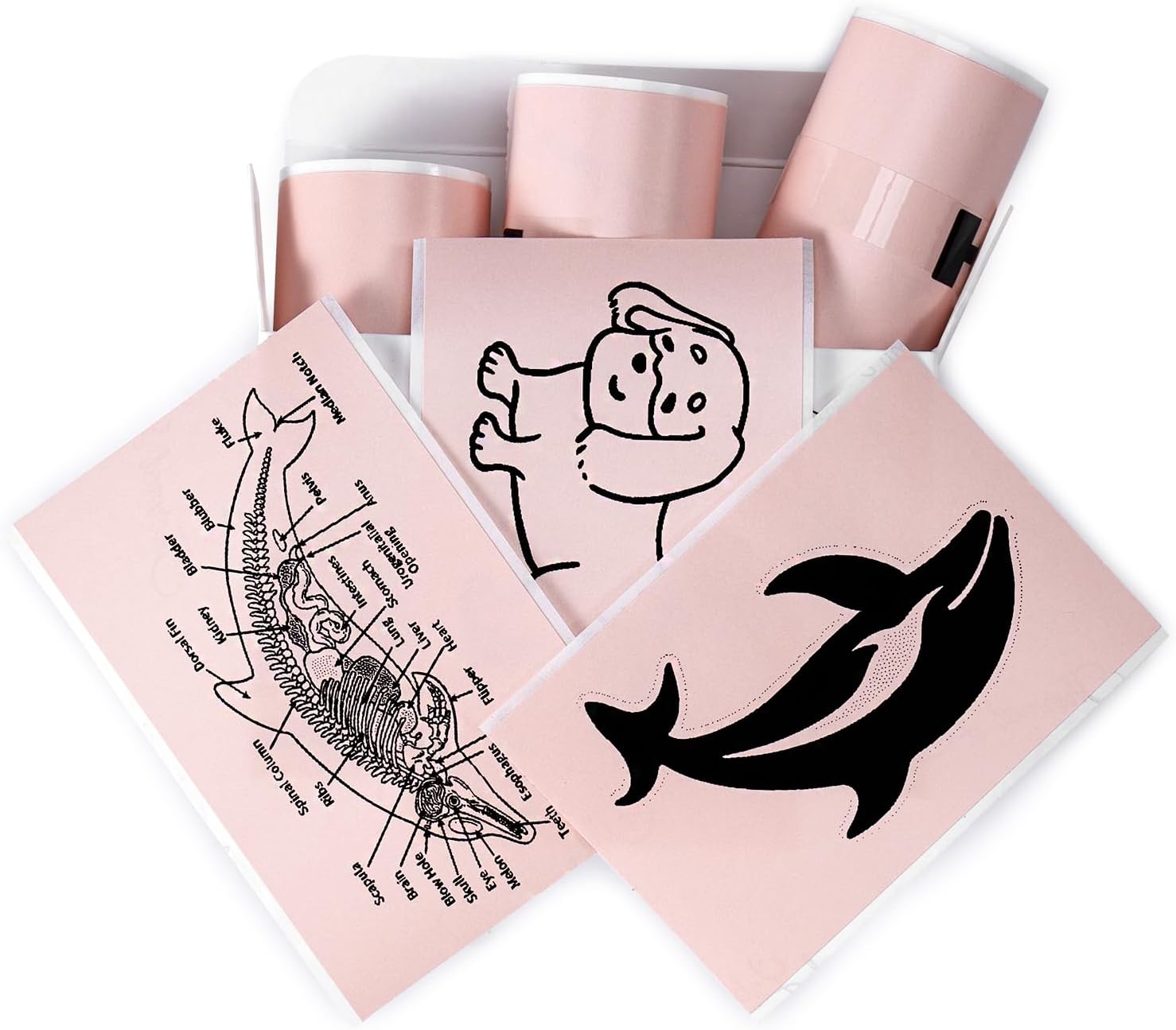 Long-lasting Pink Sticker Paper Refill for Memoking Mini Printer