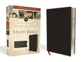 NIV Cultural Backgrounds Study Bible, Bonded Leather - Contextual