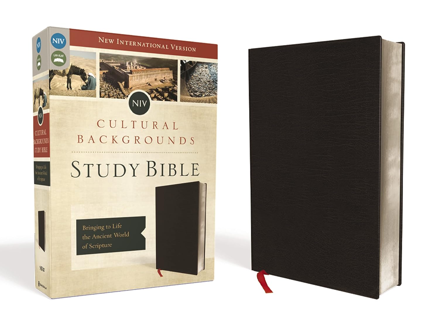 NIV Cultural Backgrounds Study Bible in Bonded Leather, Black