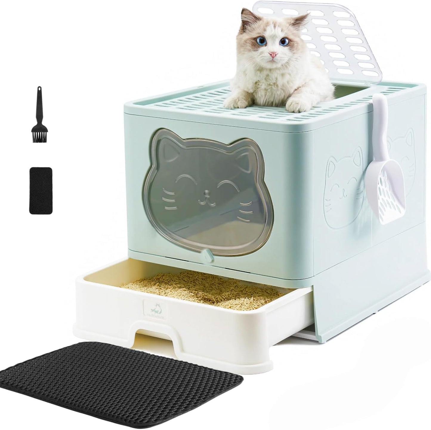 Fully Enclosed Litter Box with Lid for Cats Under 17.6Ib