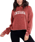 chicka-d Women's Burnout Cropped Hoodie - Soft Campus Style
