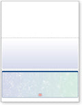 DocuGard Blue/Green Prismatic Bottom High Security Business Checks
