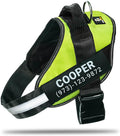 Personalized No-Pull Dog Harness with Name Patch - Green M
