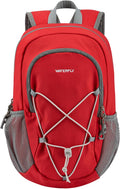 WATERFLY 12L Small Hiking Backpack - Lightweight Daypack for Travel