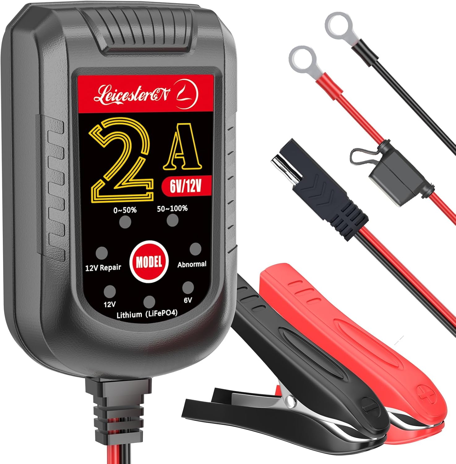 Smart 12V/6V Car Battery Charger for LiFePO4