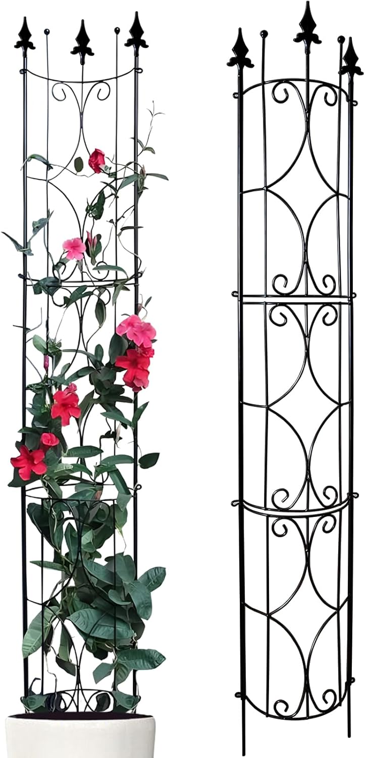Garden Trellis 2 Pack for Indoor and Outdoor Plant Support
