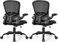 Ergonomic PC Desk Chair with Adjustable Lumbar Support - Pack of 2