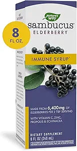 Nature's Way Sambucus Immune Elderberry Syrup for Health